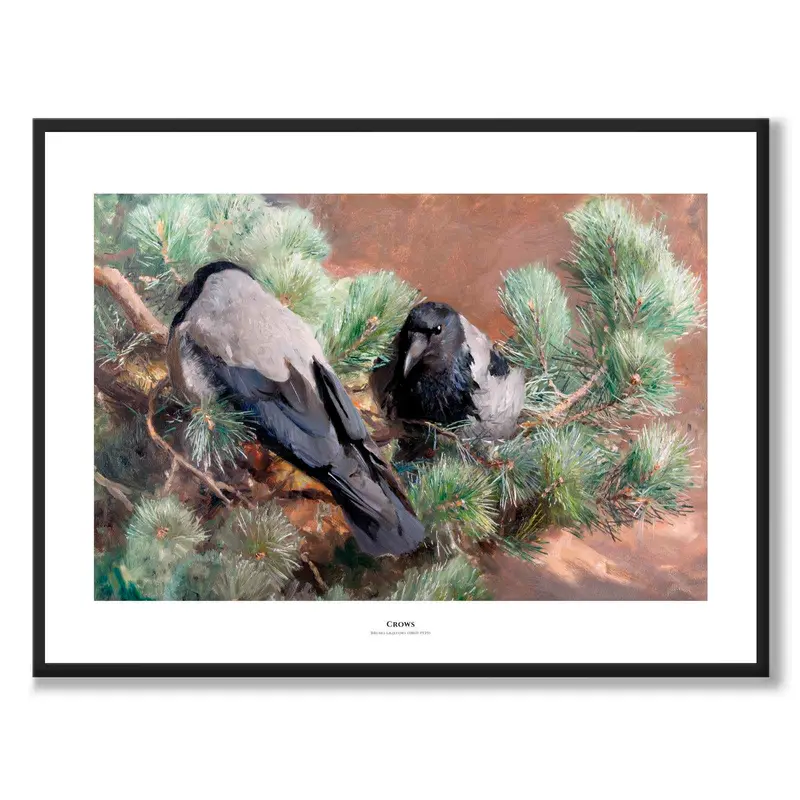Crows