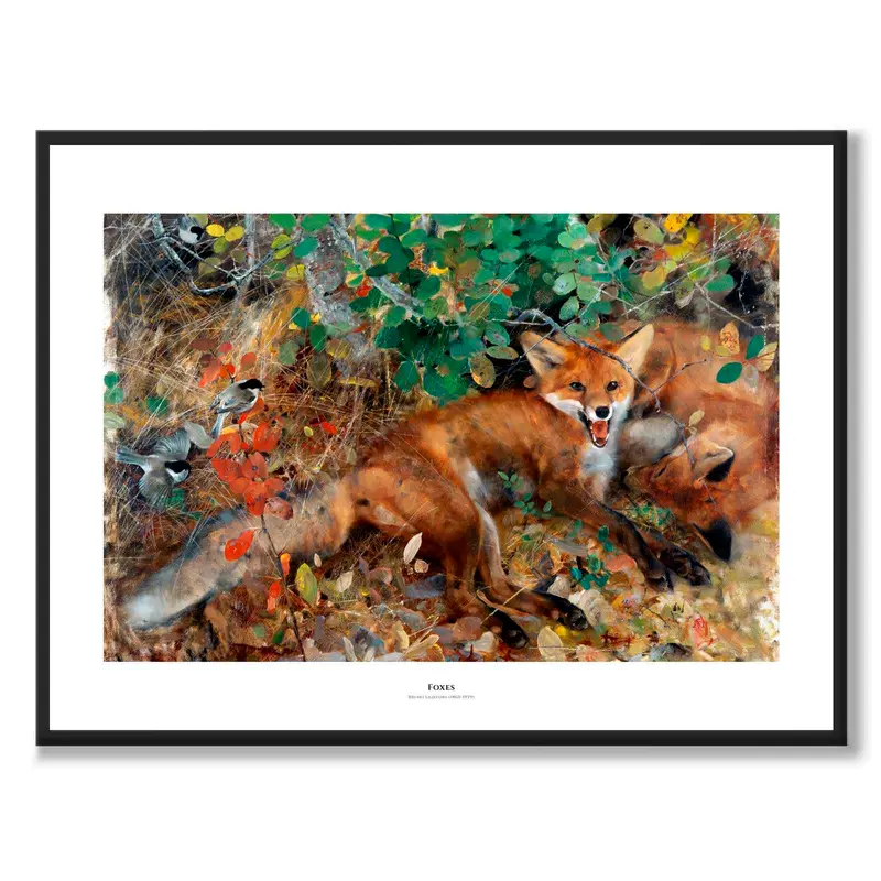 Foxes