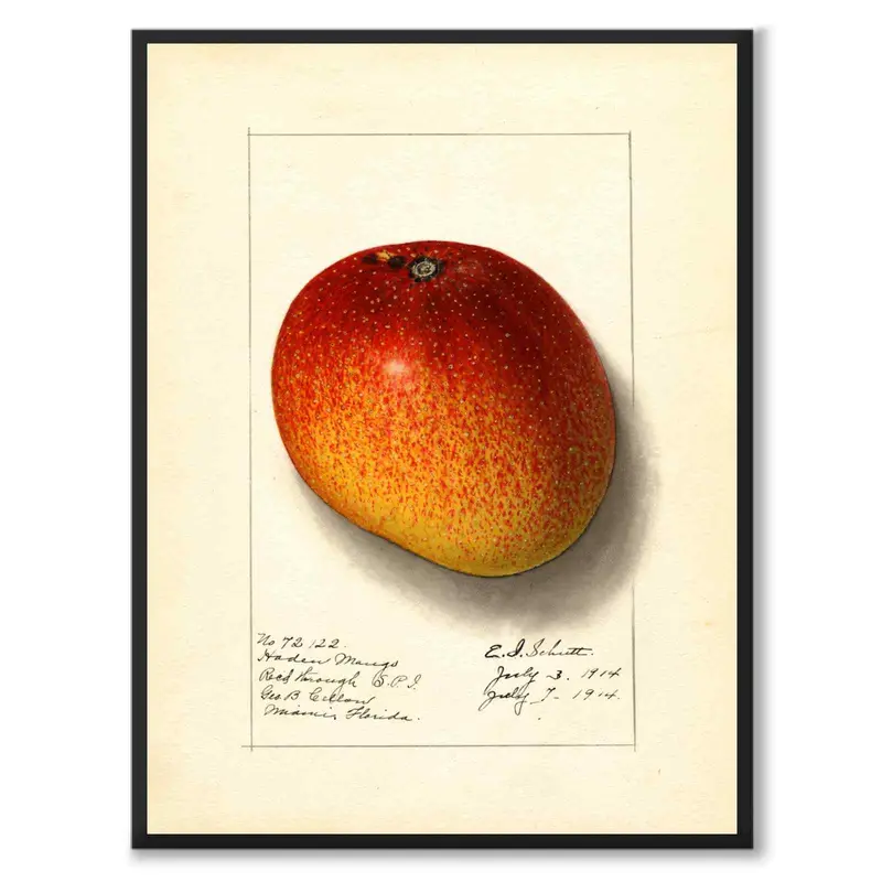 Mango soffbord